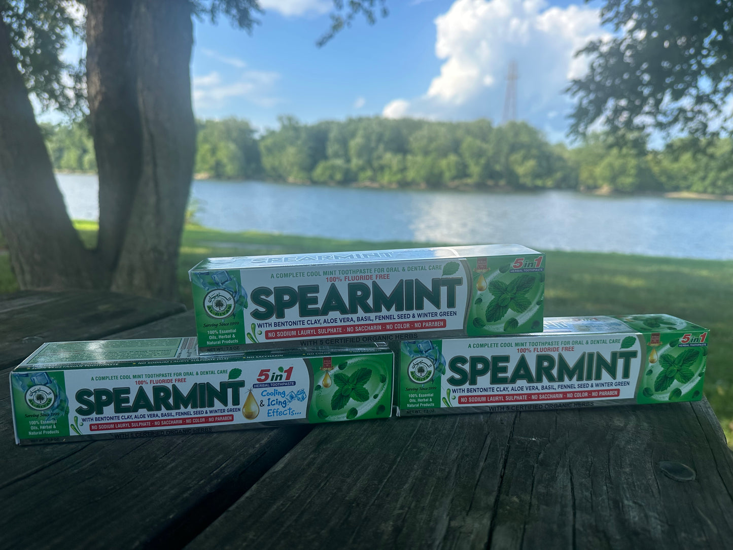 Fresh, Natural, and Fluoride-Free Care for Every Smile.”
Our Organic Herbal Toothpaste Collection is crafted with plant-based ingredients and mineral-rich botanicals to give your teeth and gums the best care—naturally.