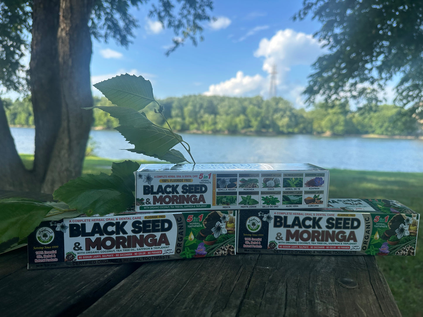 Fresh, Natural, and Fluoride-Free Care for Every Smile.”
Our Organic Herbal Toothpaste Collection is crafted with plant-based ingredients and mineral-rich botanicals to give your teeth and gums the best care—naturally.