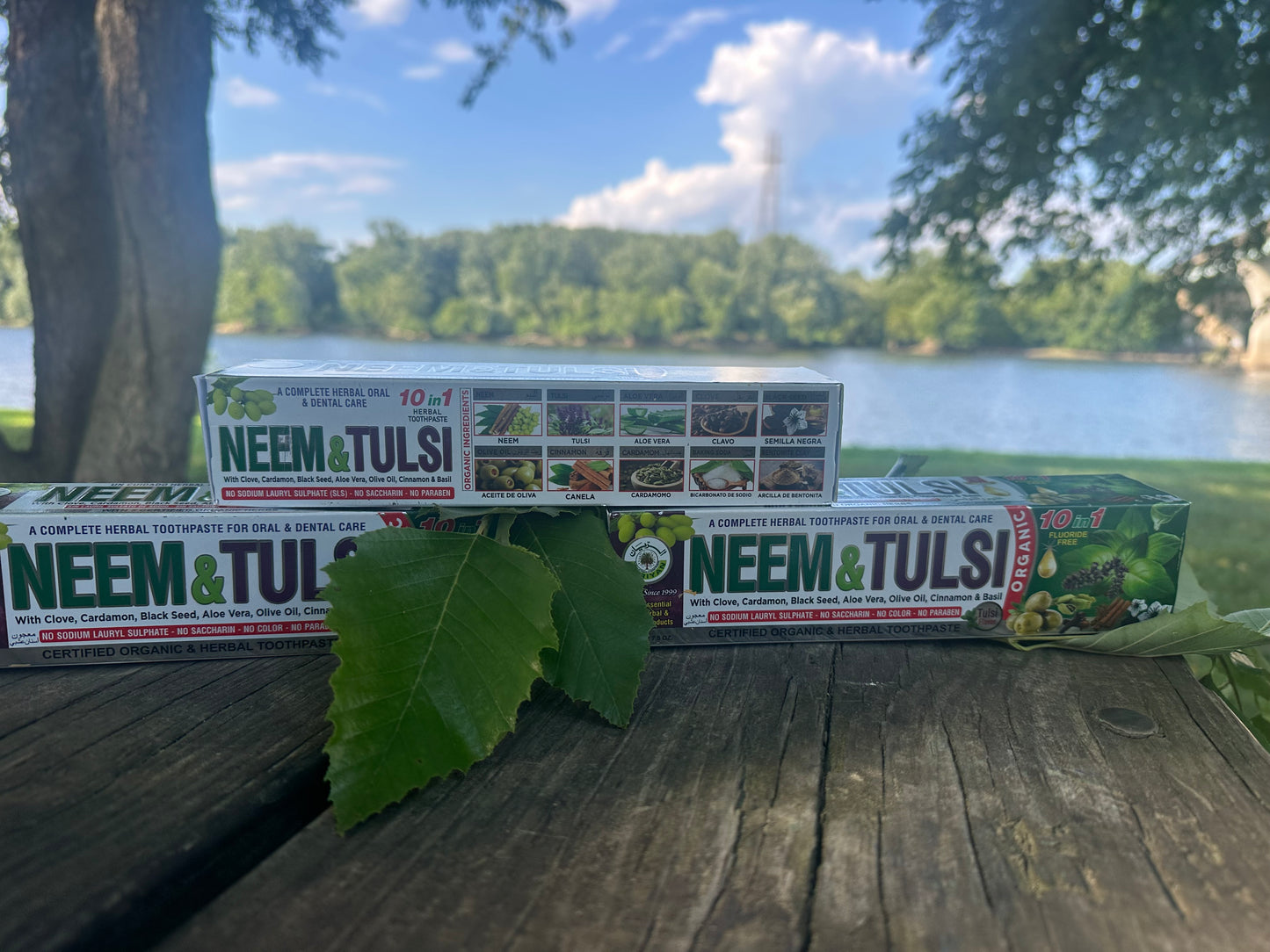 Fresh, Natural, and Fluoride-Free Care for Every Smile.”
Our Organic Herbal Toothpaste Collection is crafted with plant-based ingredients and mineral-rich botanicals to give your teeth and gums the best care—naturally.