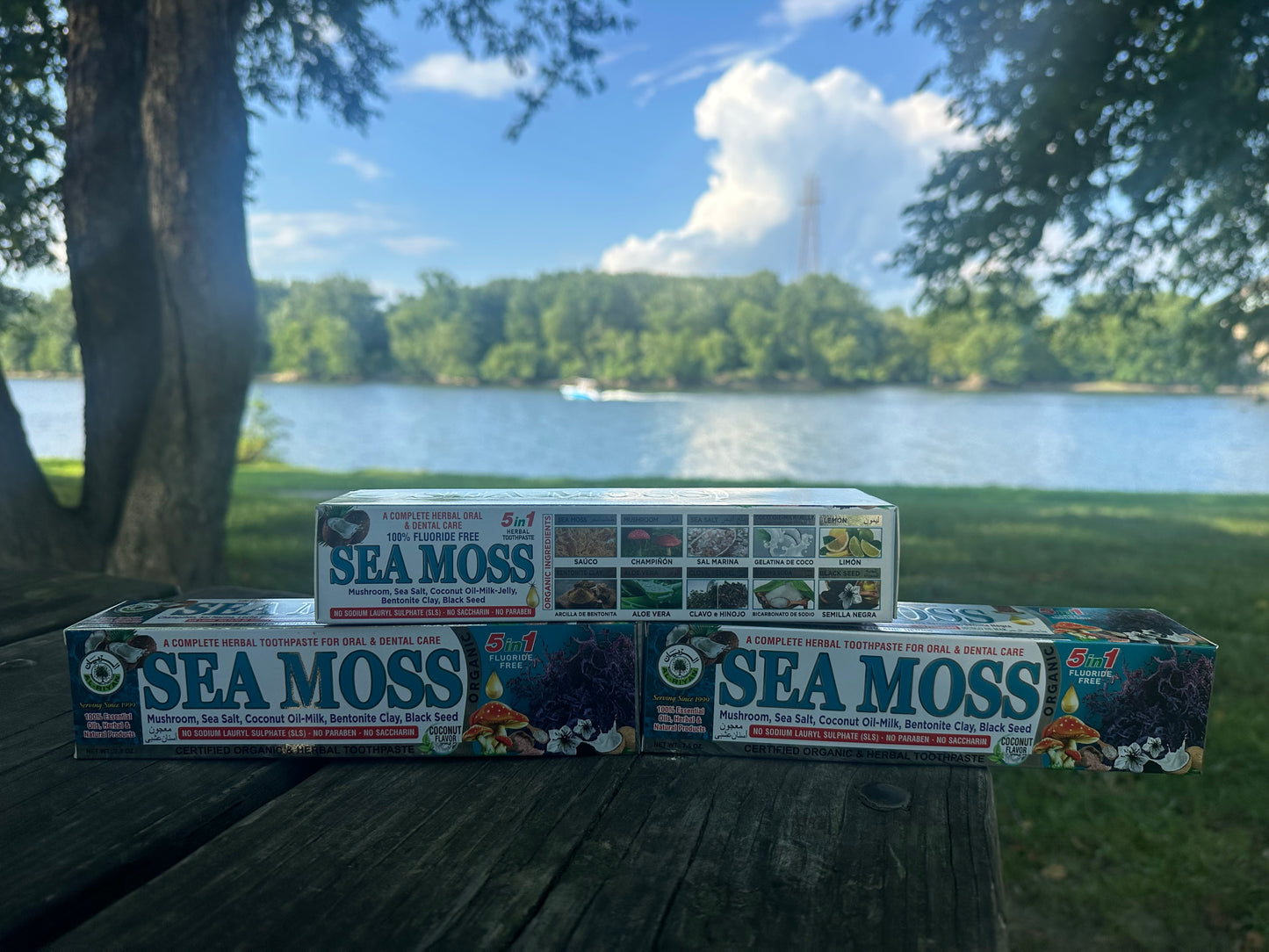 Fresh, Natural, and Fluoride-Free Care for Every Smile.”
Our Organic Herbal Toothpaste Collection is crafted with plant-based ingredients and mineral-rich botanicals to give your teeth and gums the best care—naturally.