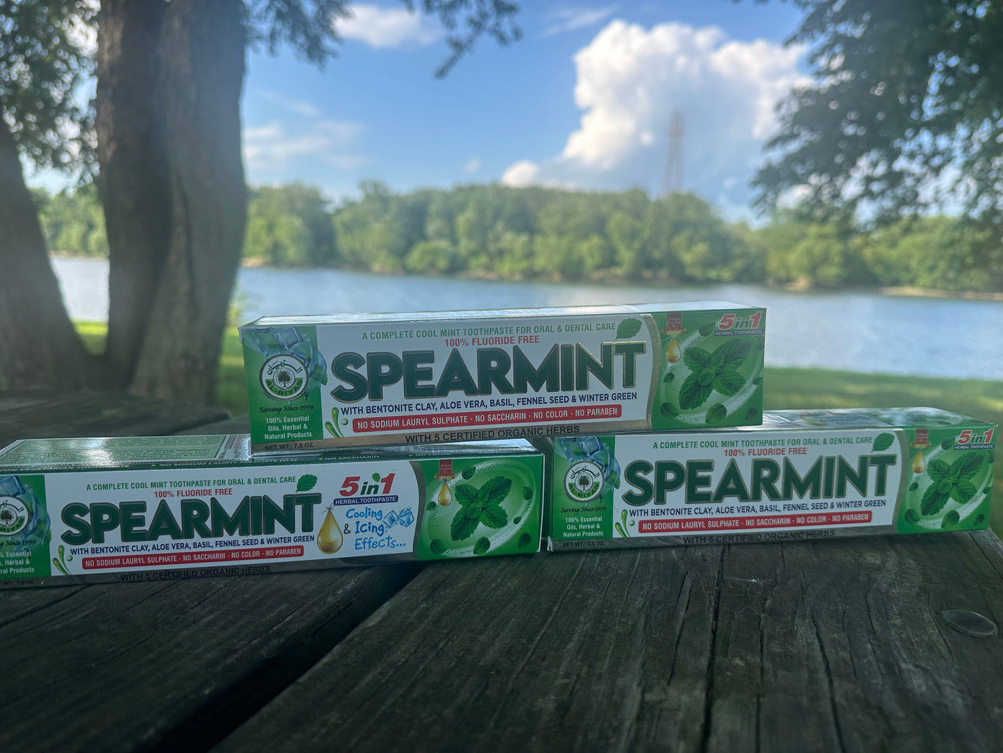 Fresh, Natural, and Fluoride-Free Care for Every Smile.”
Our Organic Herbal Toothpaste Collection is crafted with plant-based ingredients and mineral-rich botanicals to give your teeth and gums the best care—naturally.