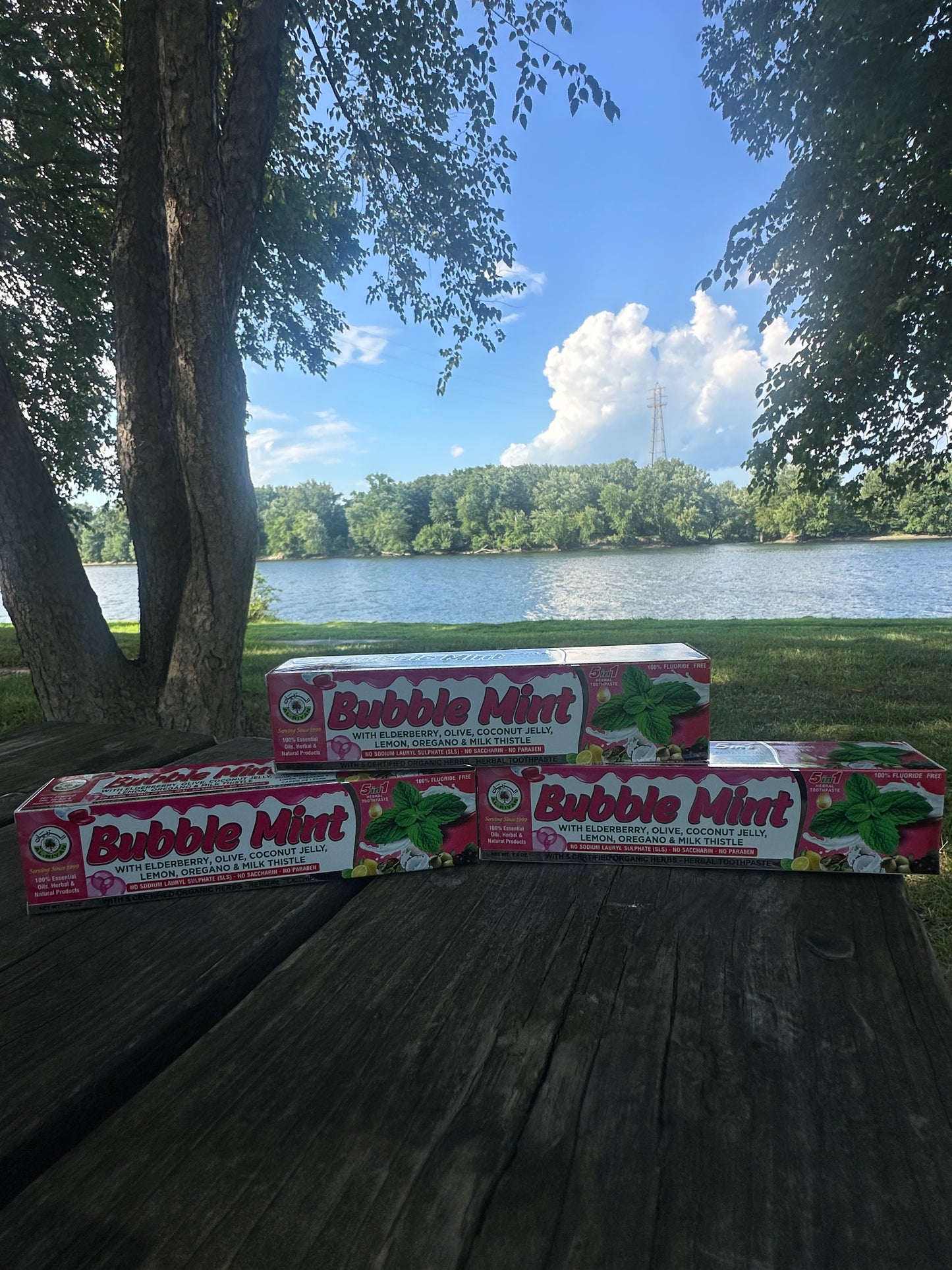 Fresh, Natural, and Fluoride-Free Care for Every Smile.”
Our Organic Herbal Toothpaste Collection is crafted with plant-based ingredients and mineral-rich botanicals to give your teeth and gums the best care—naturally.