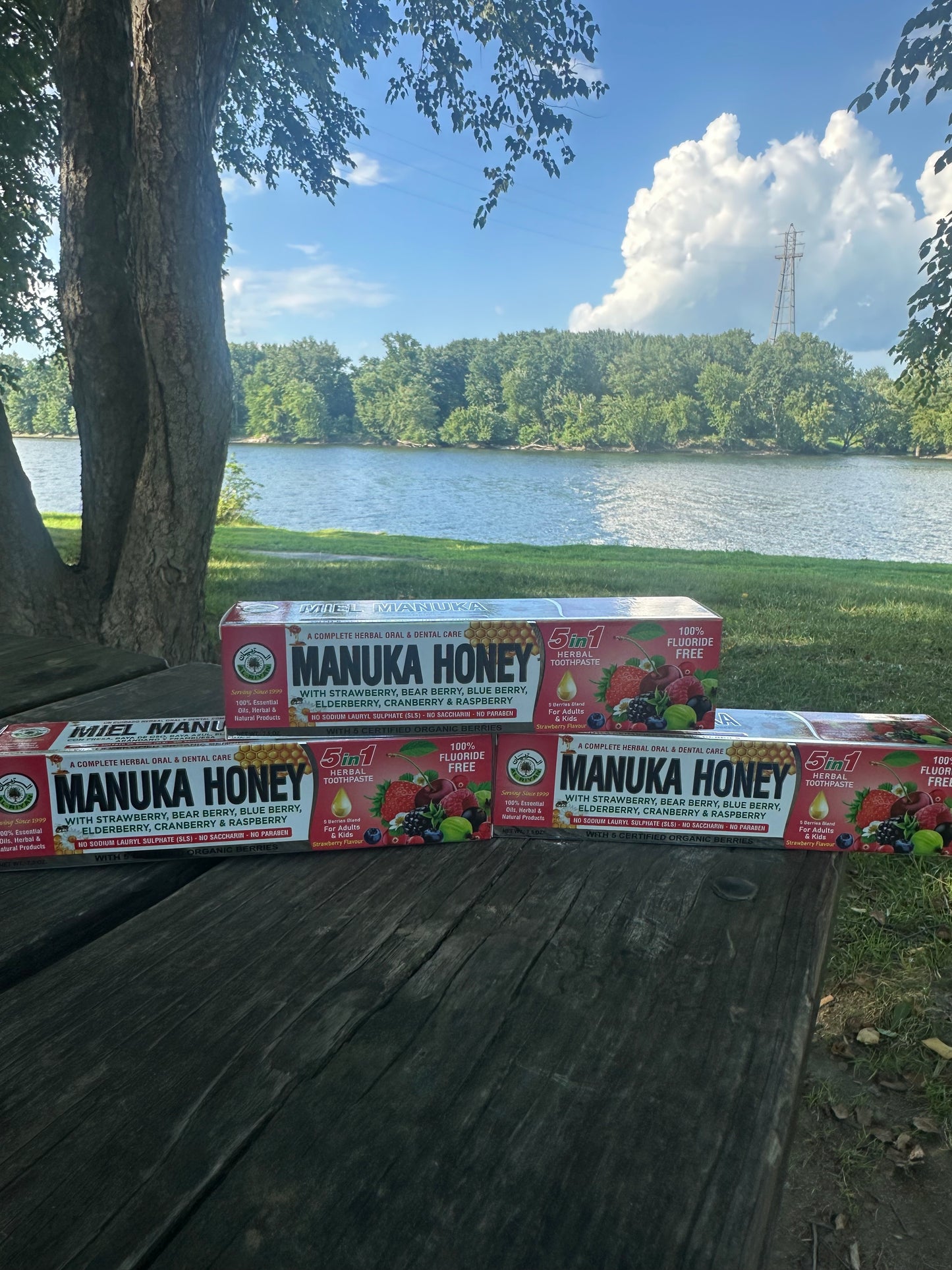 Fresh, Natural, and Fluoride-Free Care for Every Smile.”
Our Organic Herbal Toothpaste Collection is crafted with plant-based ingredients and mineral-rich botanicals to give your teeth and gums the best care—naturally.