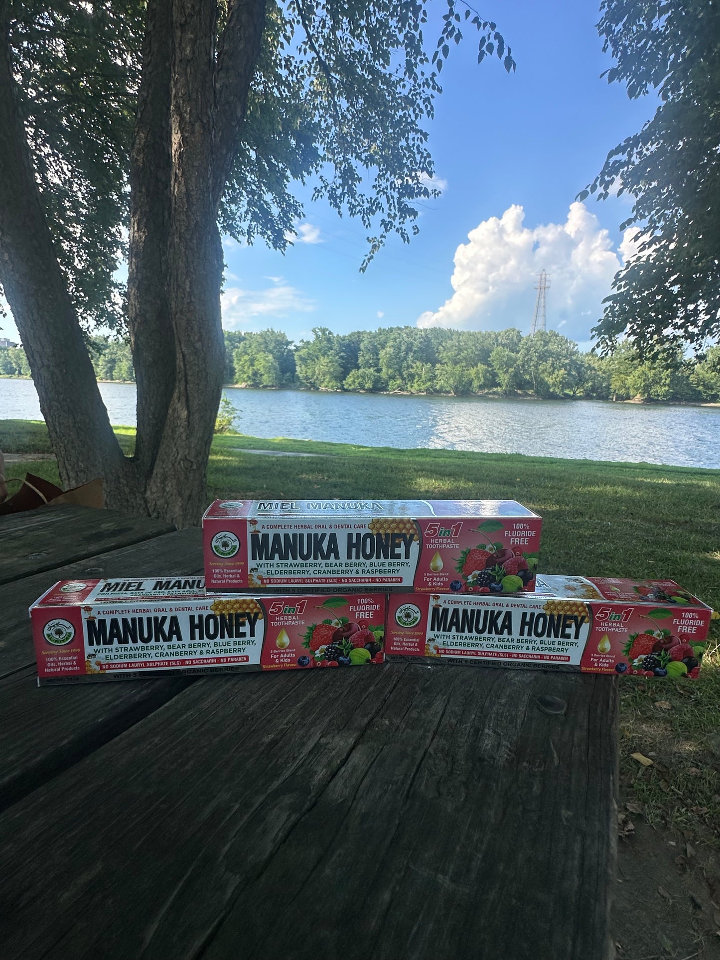 Fresh, Natural, and Fluoride-Free Care for Every Smile.”
Our Organic Herbal Toothpaste Collection is crafted with plant-based ingredients and mineral-rich botanicals to give your teeth and gums the best care—naturally.